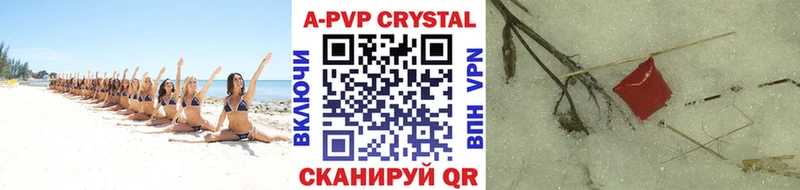 Alpha-PVP СК КРИС  Купить закладки  Староминская 