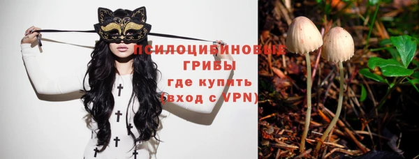 ECSTASY Нязепетровск