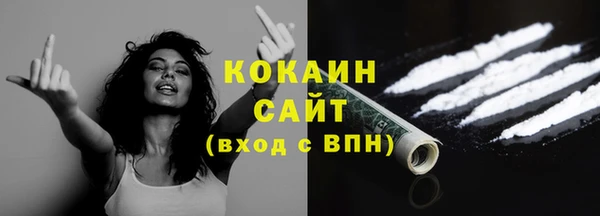 сатива Осинники