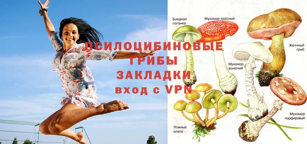 соль ск Нягань