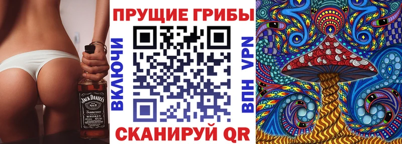 Купить  Староминская  Псилоцибиновые грибы MAGIC MUSHROOMS 